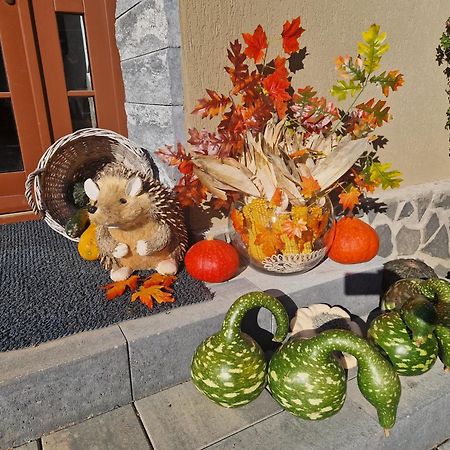 Sepsi Relax Hotel Sfântu-Gheorghe Exterior foto